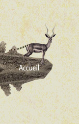 Accueil